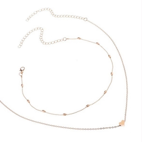 Double chain choker 🎉HP🎉 - Picture 3 of 3